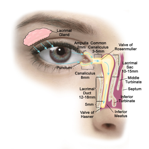 Lacrimal surgery chicago